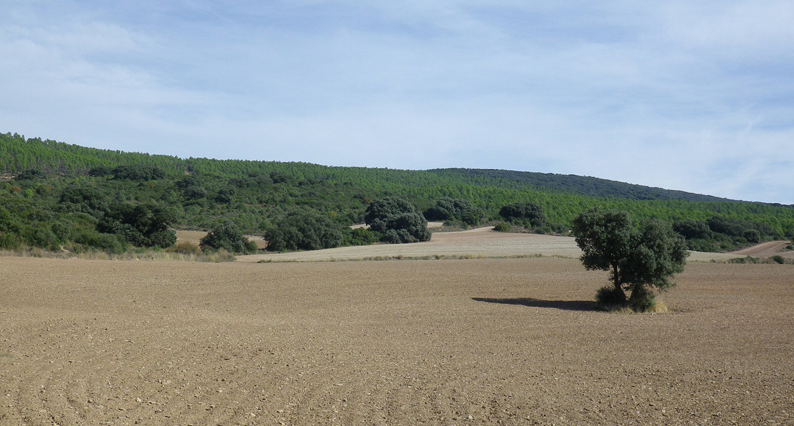 Highfield receives government support for Muga potash project