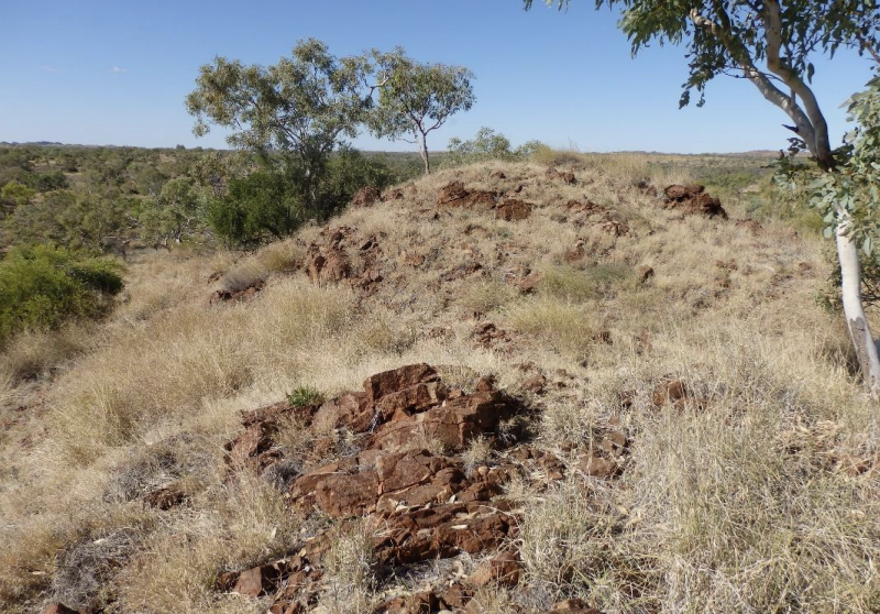 Pure Resources forms Reedy Creek alliance