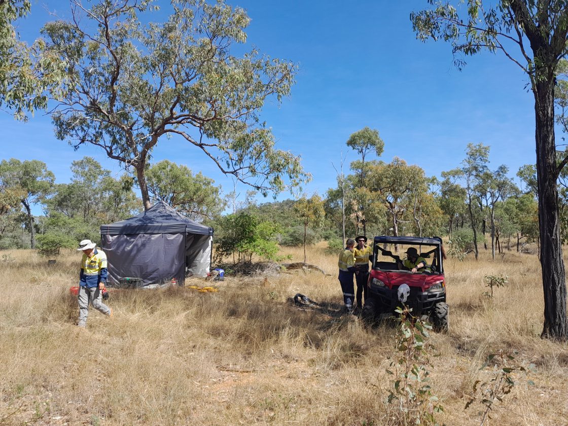 Sunshine airbornes funded survey at Ravenswood
