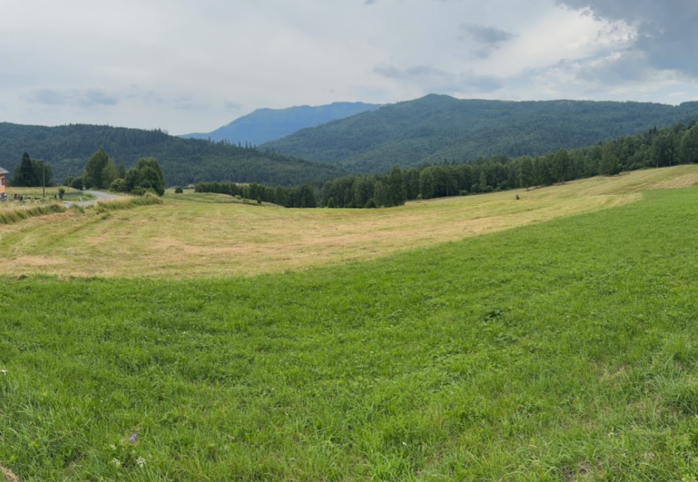 Military Metals scopes out Medvedi-Potok tin property