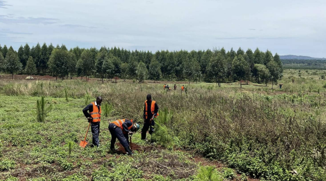 Explorer eMetals starts Busia soil sampling