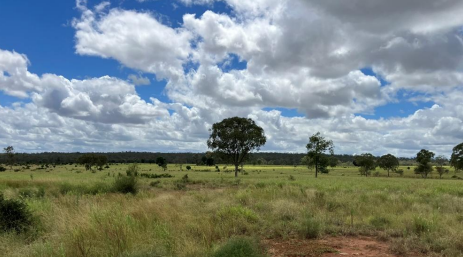 Canterbury to complement exploration portfolio via acquisition