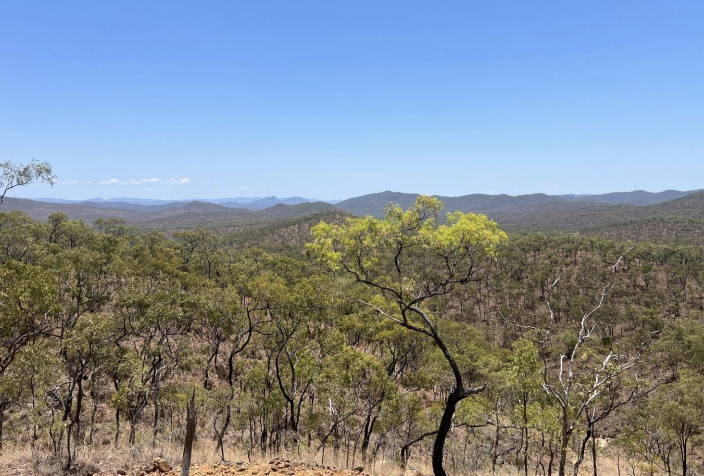 Iltani receives grant to fund Herberton survey