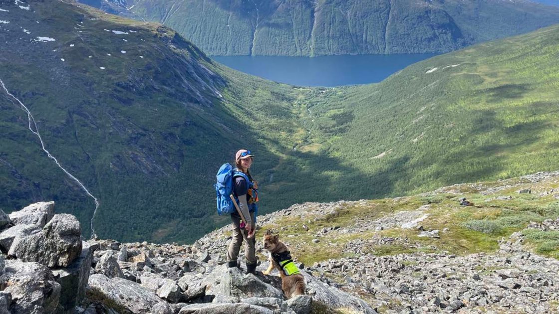 Kingsrose Mining geologist mapping at the Råna project