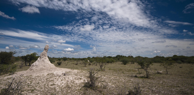 African Mining Week to outline digital transformation