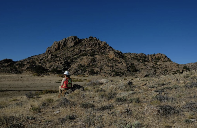 American Rare Earths