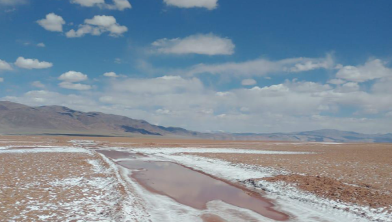 American Salars