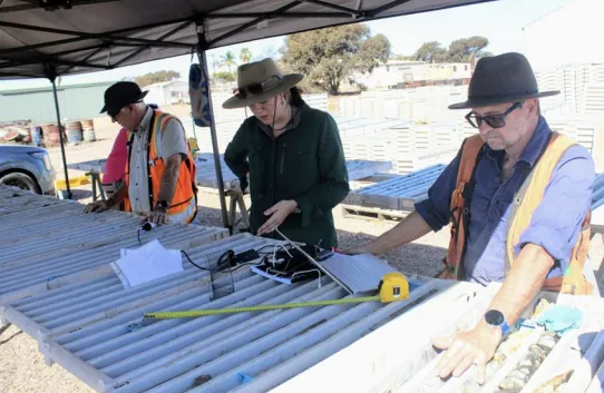 Lincoln identifies Minbrie copper, base metals targets