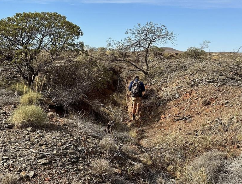 Taruga expands Thowagee exploration