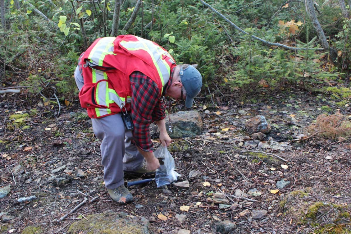 Nine Mile Metals begins trading on the OTCID