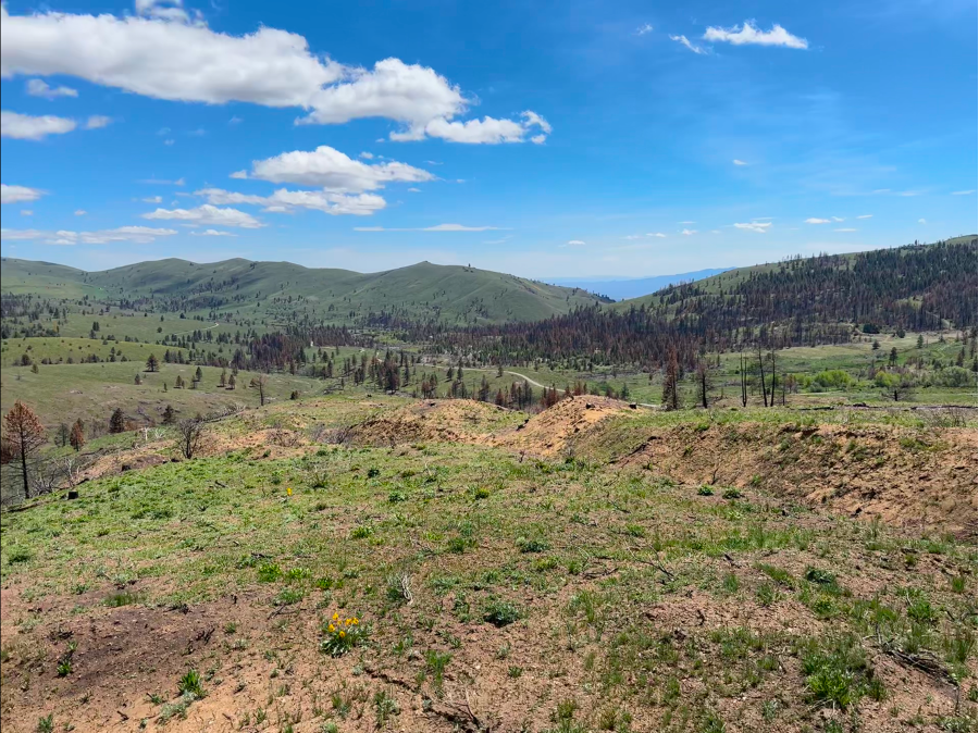 Provenance identifies black shale, diorite at Sunday Hill