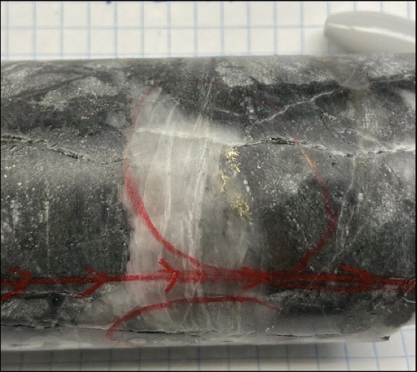 Opawica Bazooka drill core