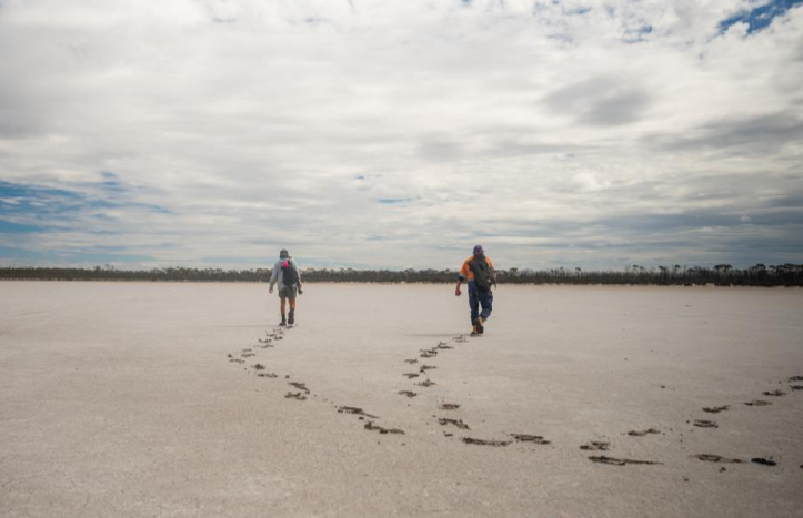 Impact