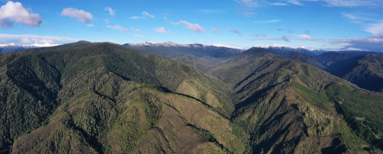 Rua Gold showcases Reefton’s ‘district-scale opportunity’