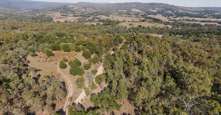 Underground contractor joins Southern Cross’ Sunday Creek