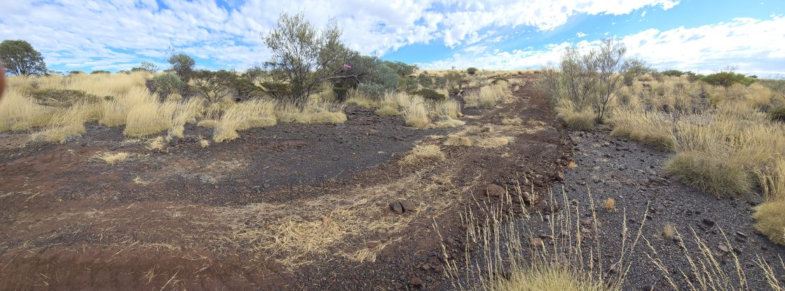 Black Canyon eyes Wandanya’s potential