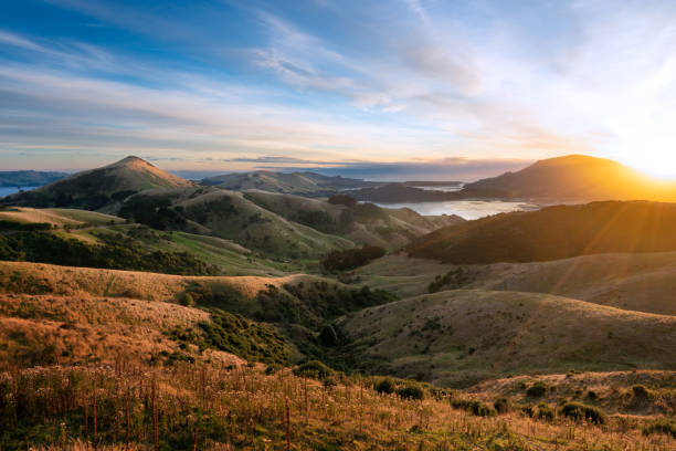 Critical Resources taps into New Zealand’s potential