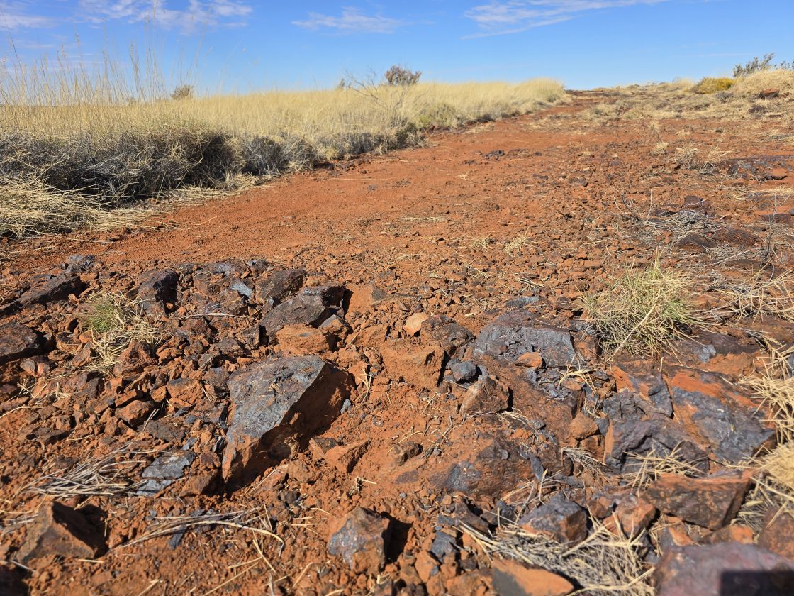 Black Canyon pivots management to direct Wandanya exploration