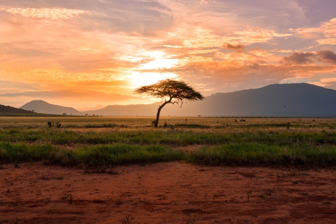 Marvel covers more ground in Tanzania