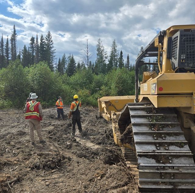Bousquet emerges as ‘significant discovery’ for Olympio