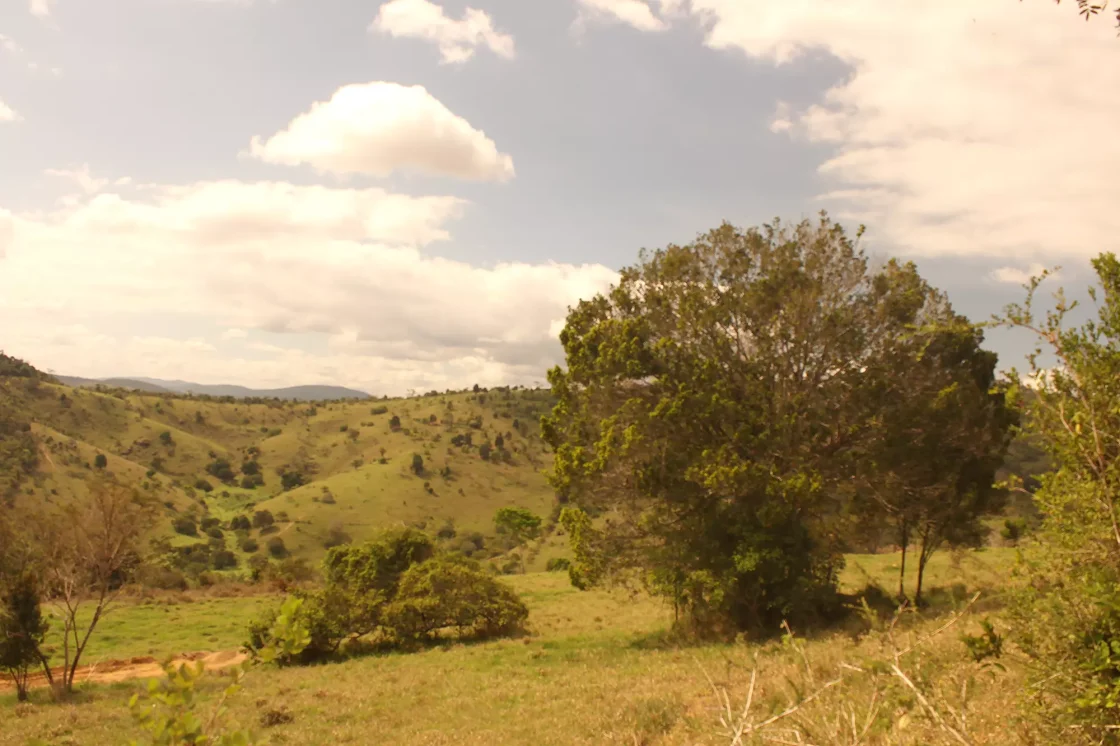 Brazilian Rare Earths confirms Amargosa as ‘large-scale’