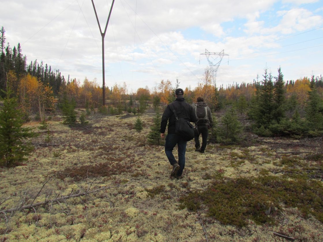 Skyharbour’s partner spreads exploration wings at Falcon