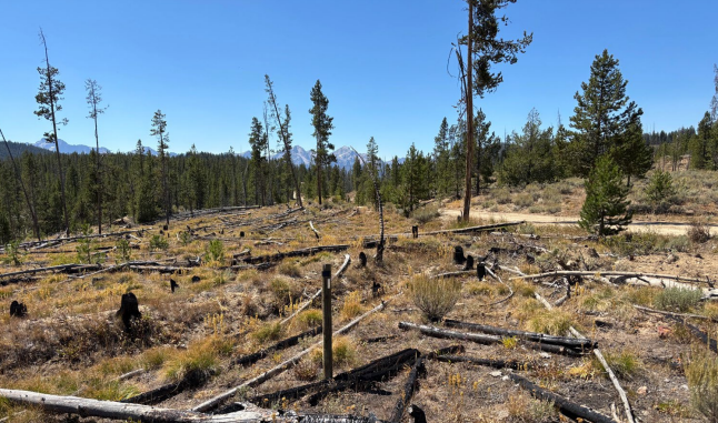 Red Mountain grows Idaho footprint by 80%