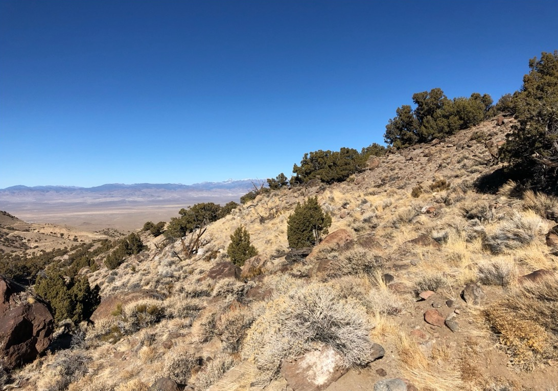 Funds Surface for Nevada exploration programs