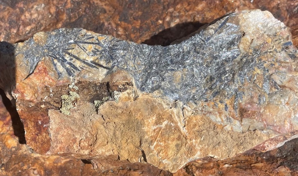 Arizona intersects Perry Vein