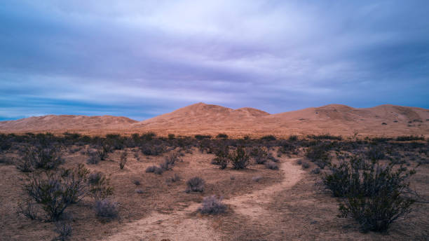 Great Northern winds up rare earths-antimony acquisition