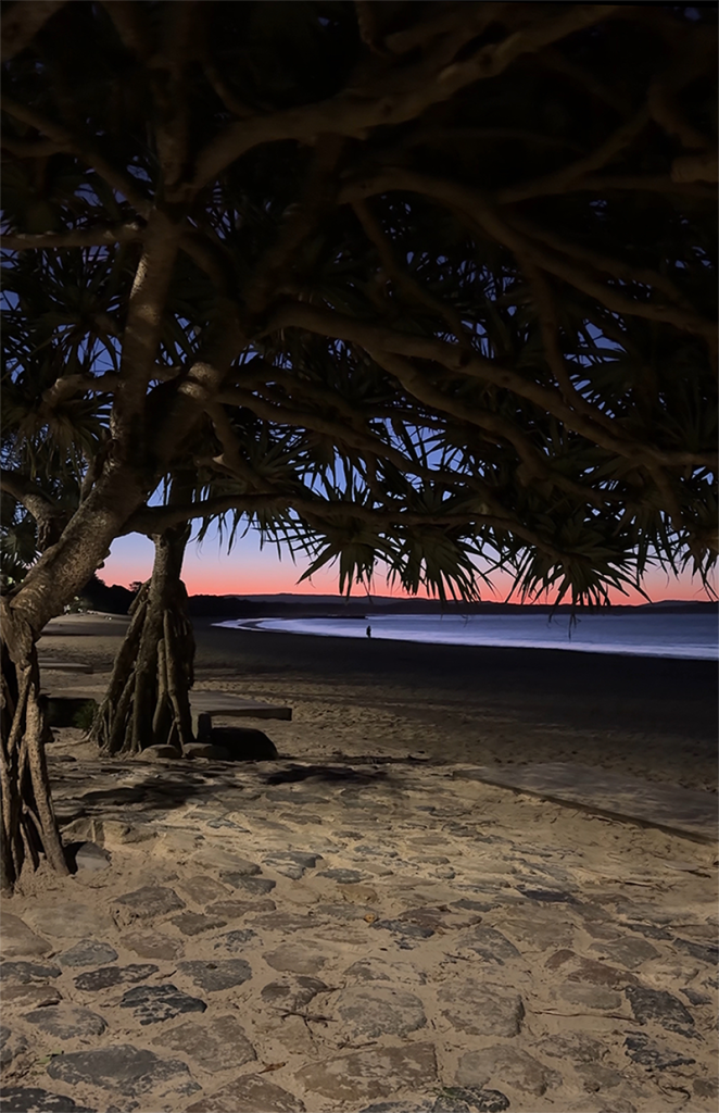 Noosa Mining night