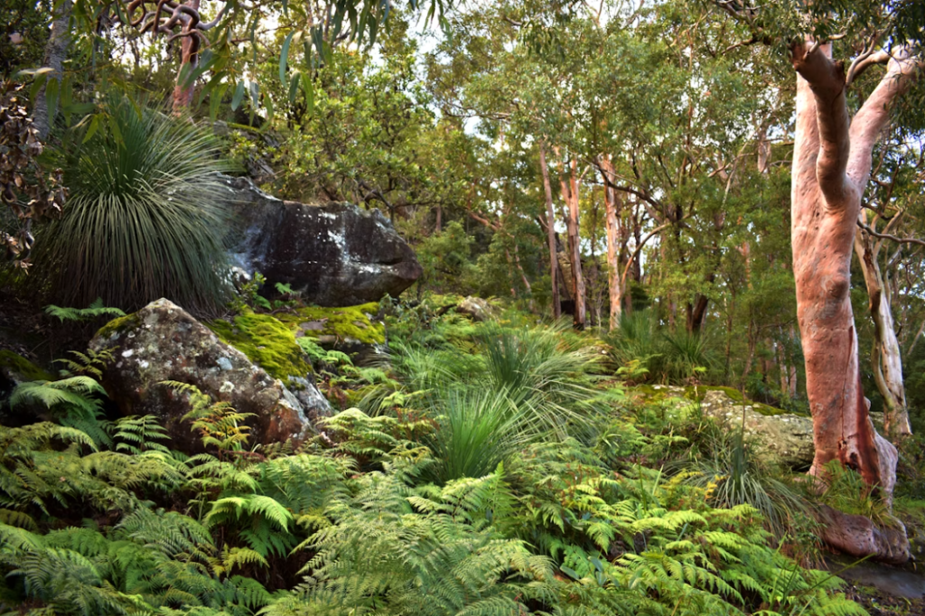 Environment