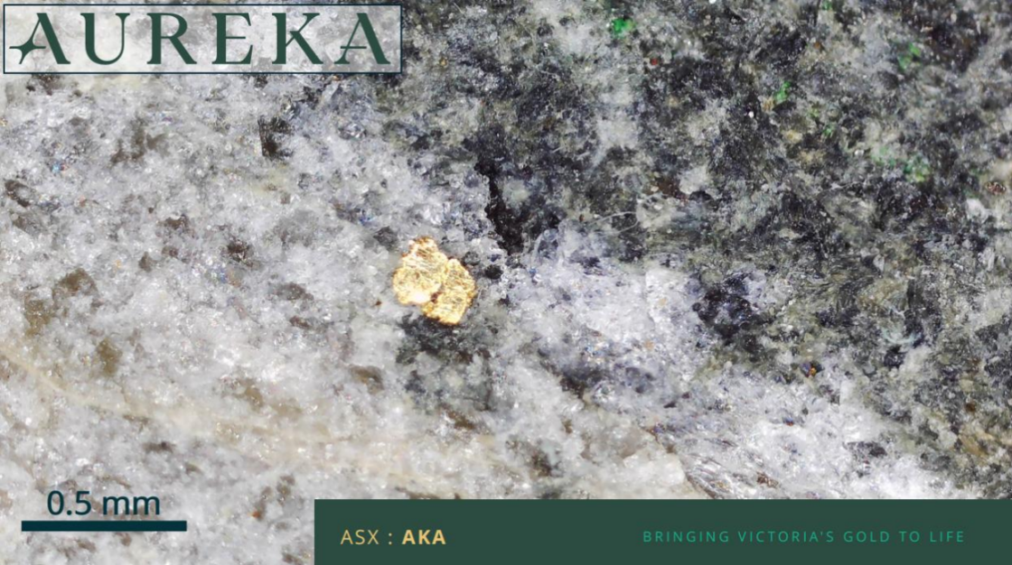 Aureka developing new Irvine geological model