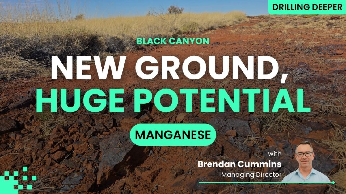 Pilbara field update: Black Canyon’s big year at Wandanya