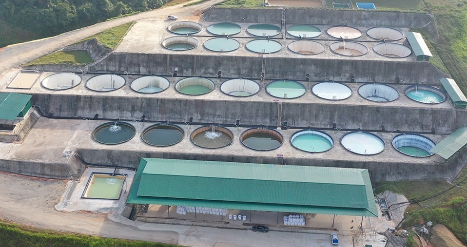 Brazilian Critical field trials generates rare earths