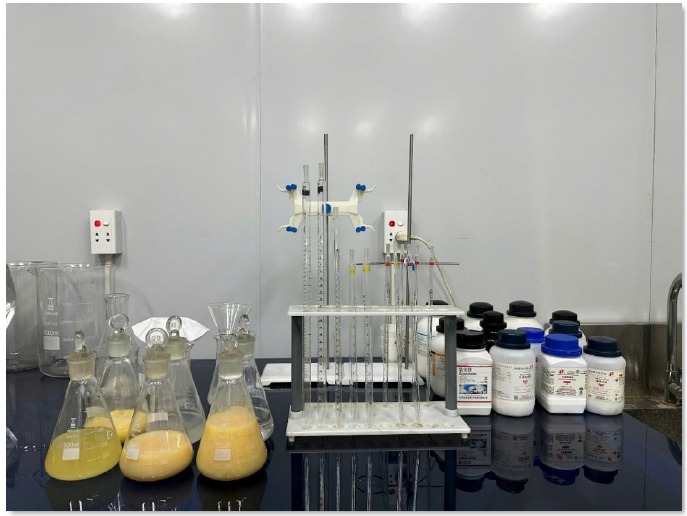 Jupiter delivers ‘substantial, repeatable’ MREP upgrades: Critica