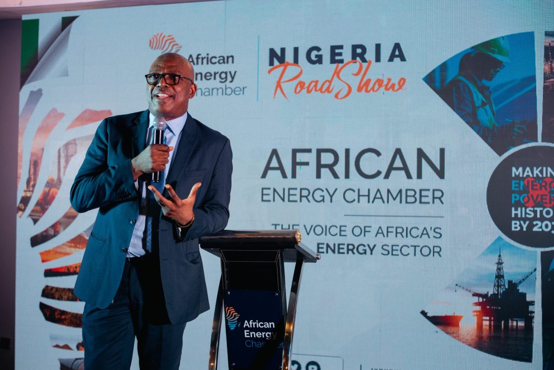 Africa anchors critical minerals outlook