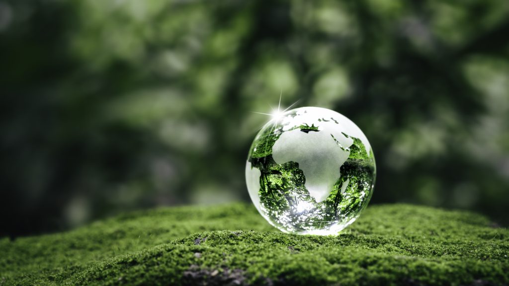 Earth