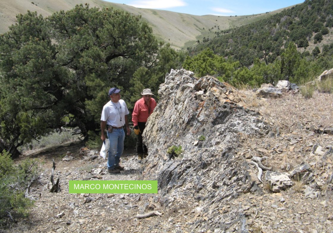 Nevada Organic keep treasure topped up amid spinning rigs