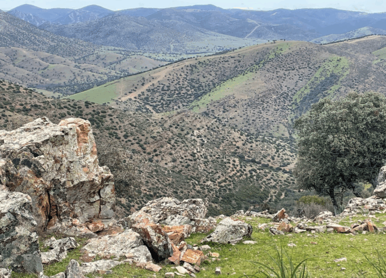 Osmond expands Orión resource target area