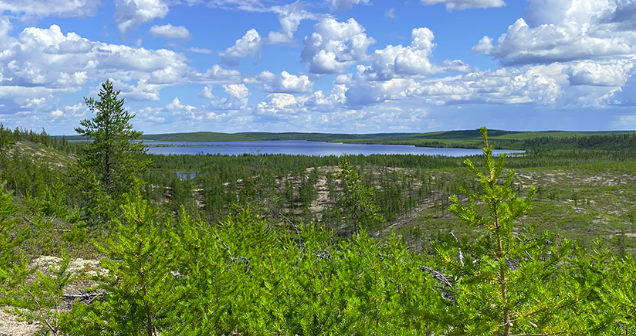 Skyharbour Tarku