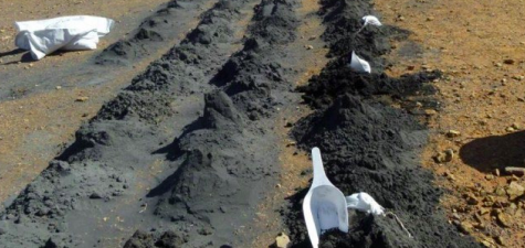 Octava Minerals - Byro Project