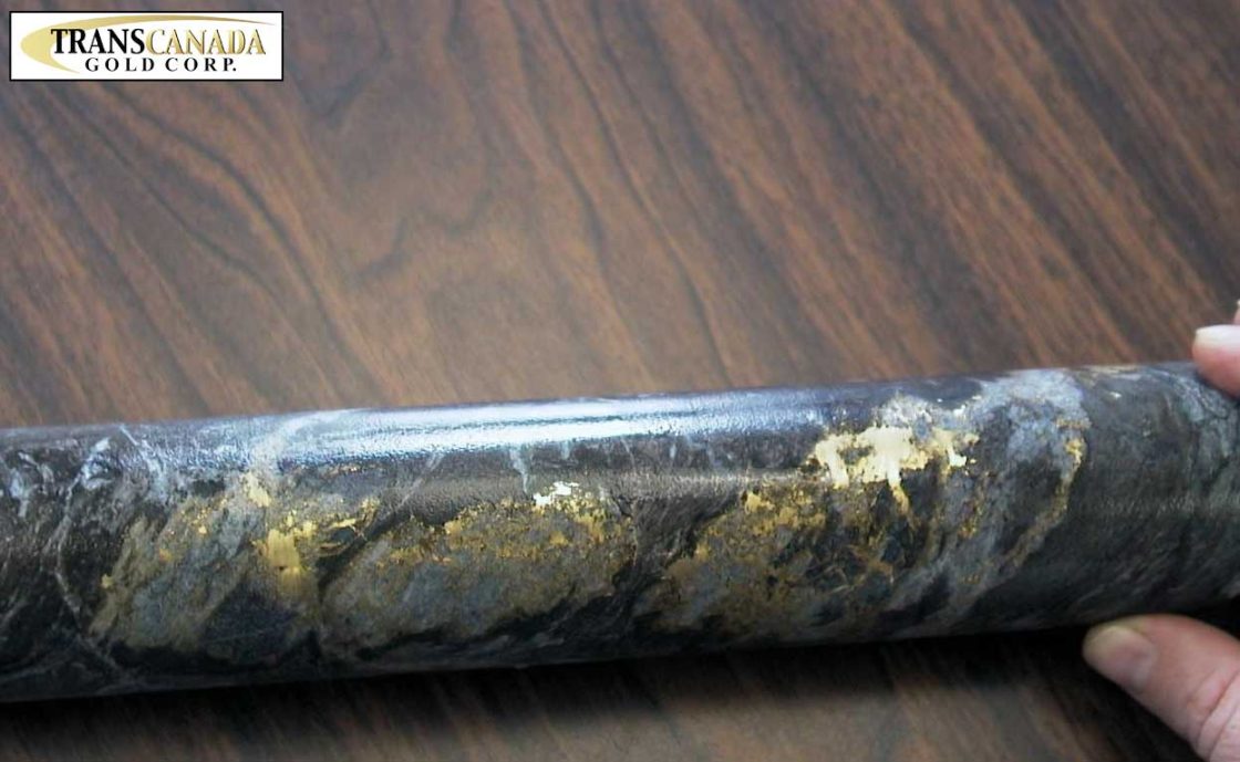 Trans Canada finalises due diligence on gold project