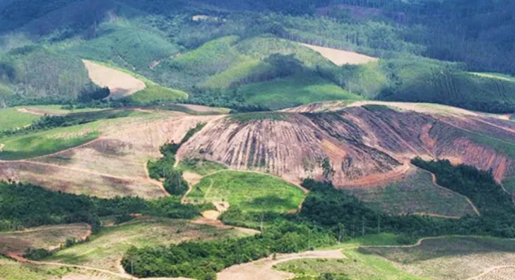MetalsGrove Mining