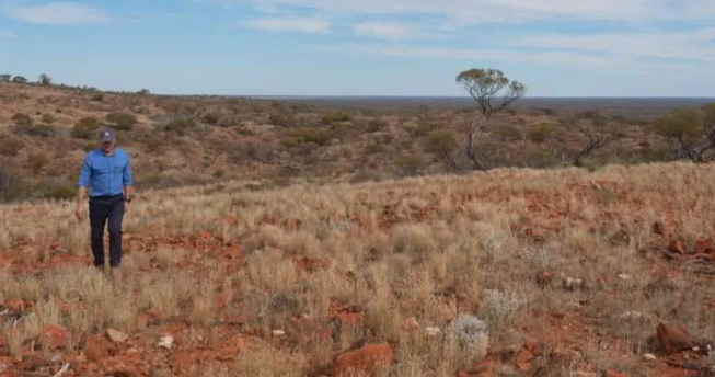 GoldArc discovers new gold anomalies at Leonora North