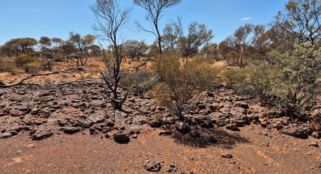 Western Yilgarn confirms “high-grade” gallium-tellurium