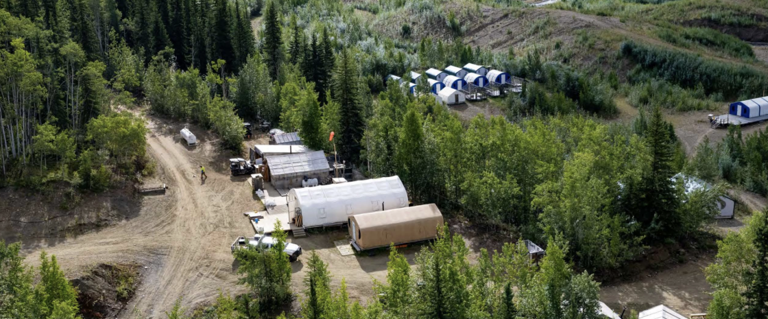 White Gold enters growth phase with new appointment