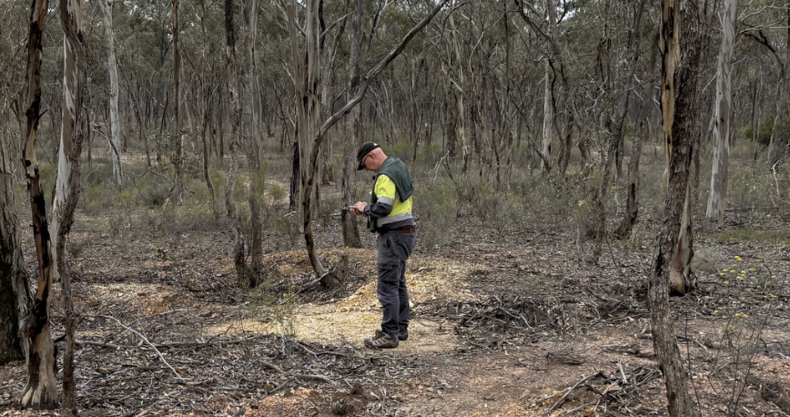 Leviathan completes Victorian gold project sale