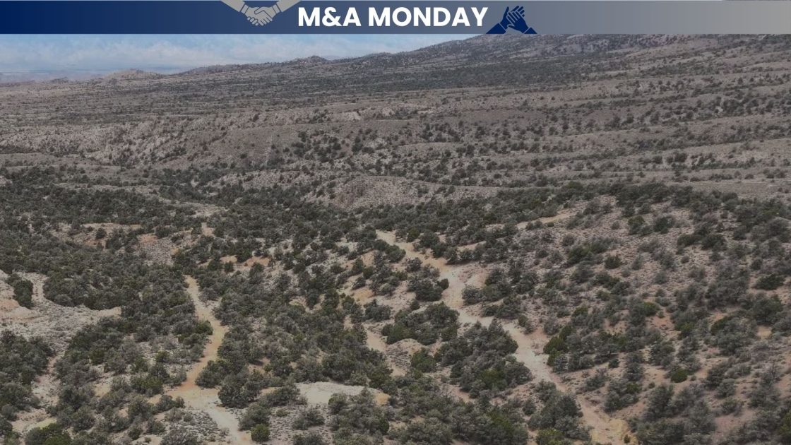 Mammoth M&A