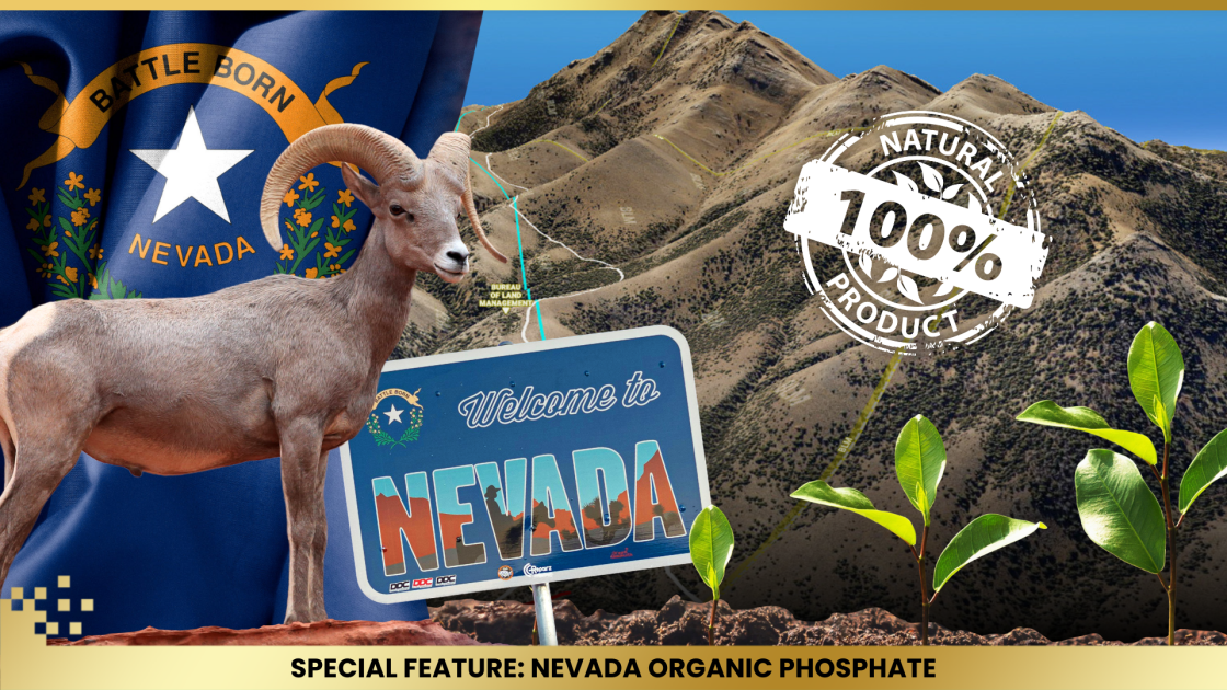Nevada Organic Phosphate: Redefining the agriculture industry